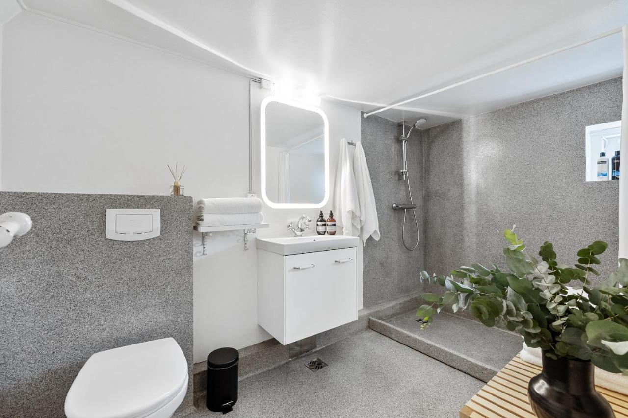 Luxury Villa In Downtown Reykjavik Ngoại thất bức ảnh